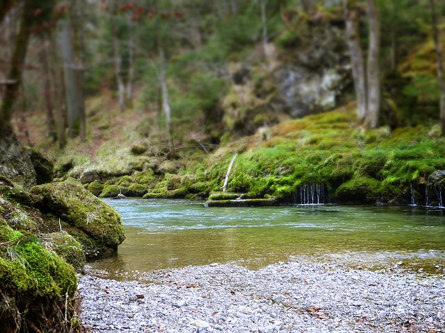Gutes Leben trotz Corona