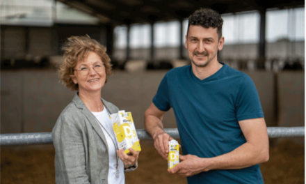 Vitamin D in der Milch