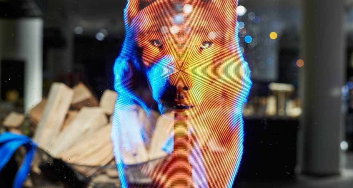 «Stille Nacht»: weihnachtliche Kunstinstallation