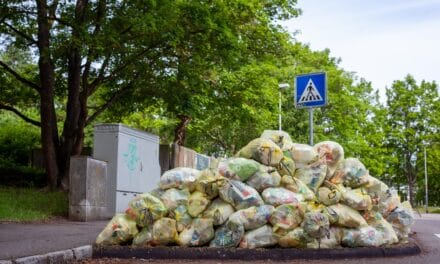 <strong>Food Waste – eine unnötige Verschwendung (Teil 1/2)</strong>