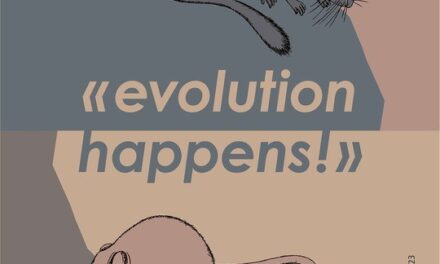 Sonderausstellung «evolution happens!»  