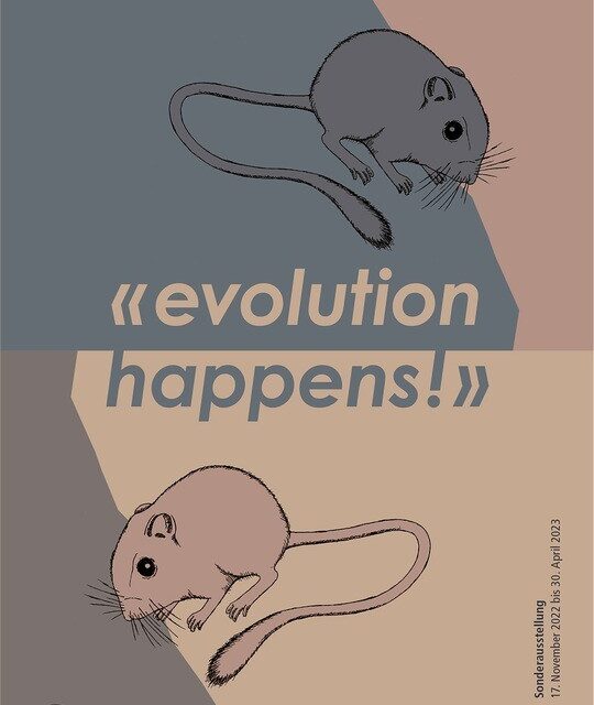 Sonderausstellung «evolution happens!»  