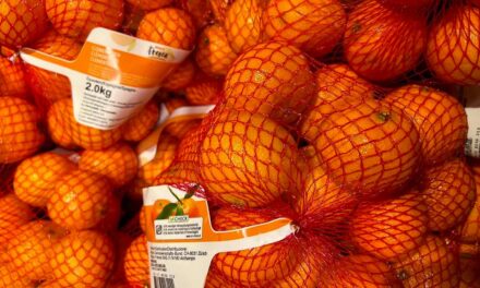 Was du mit Mandarinlinetzen machen kannst